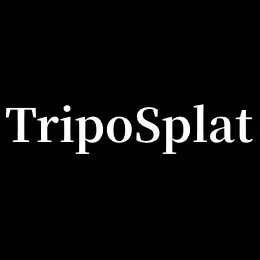TripoSplat